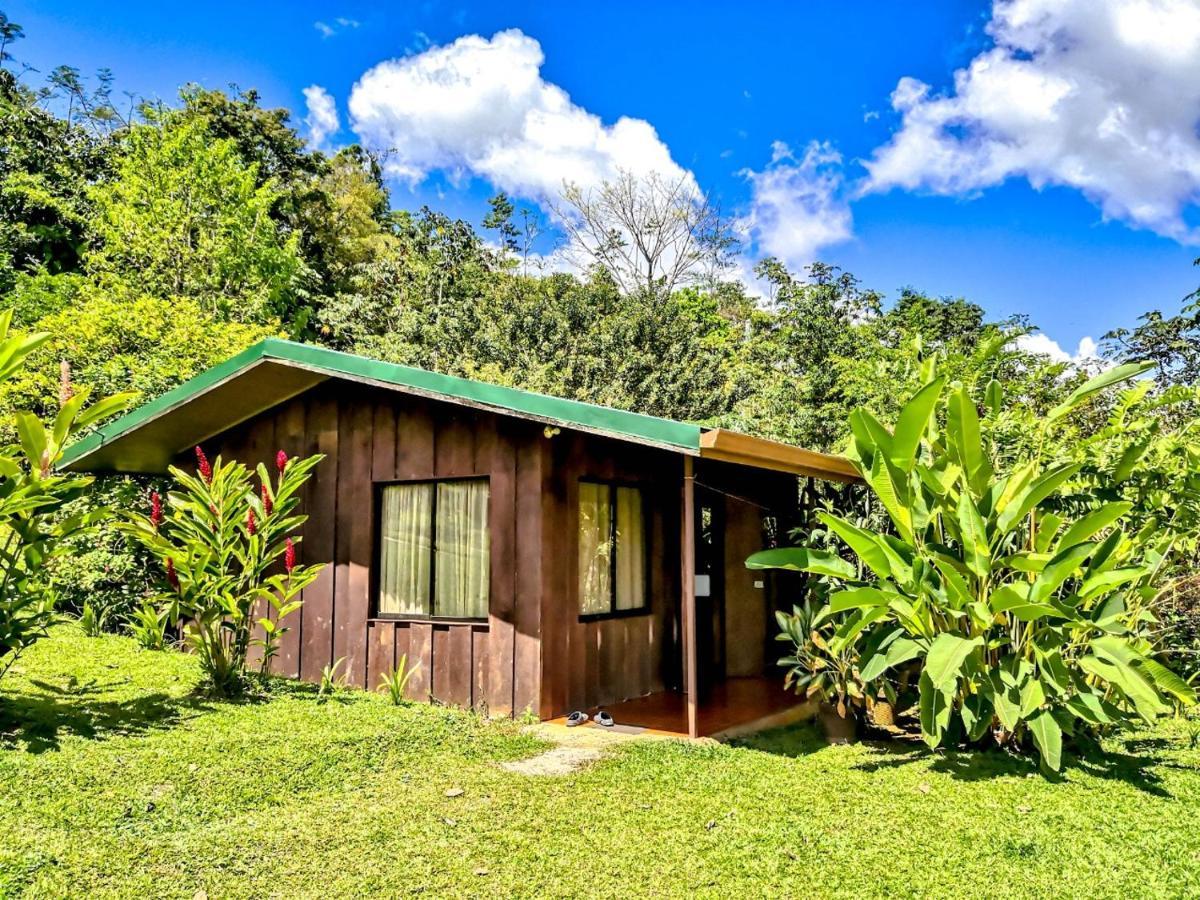 Cabanas Montanas Del Tenorio Rio Celeste Esterno foto