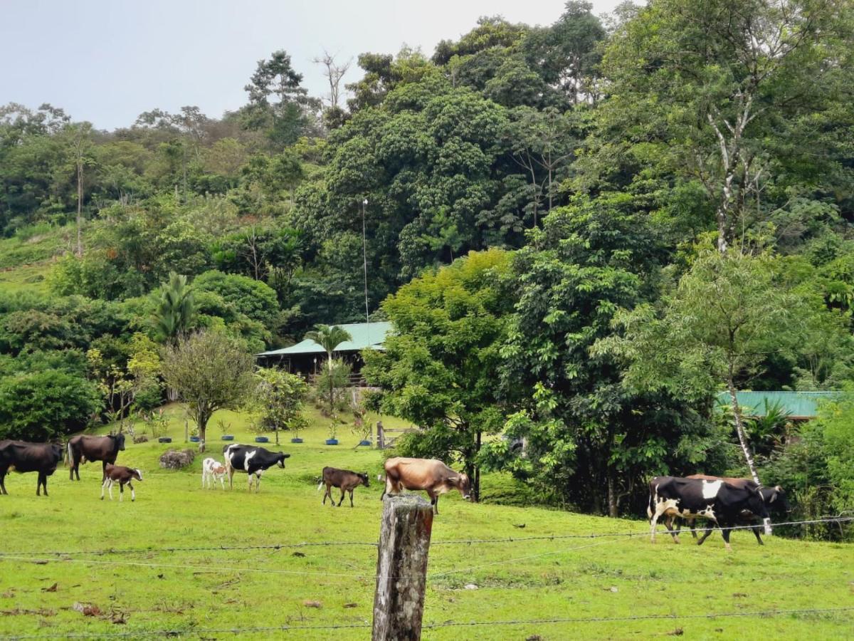 Cabanas Montanas Del Tenorio Rio Celeste Esterno foto