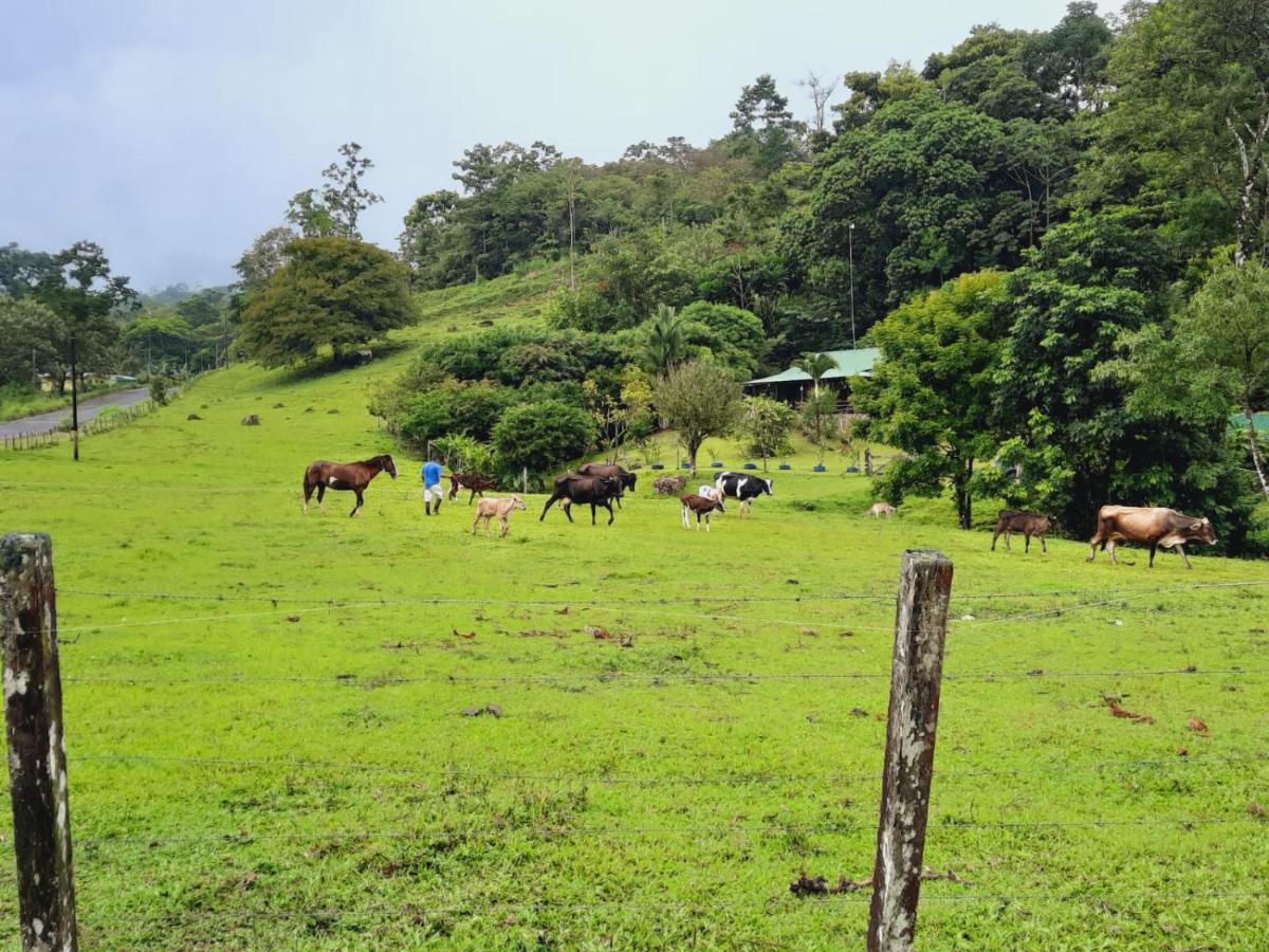 Cabanas Montanas Del Tenorio Rio Celeste Esterno foto